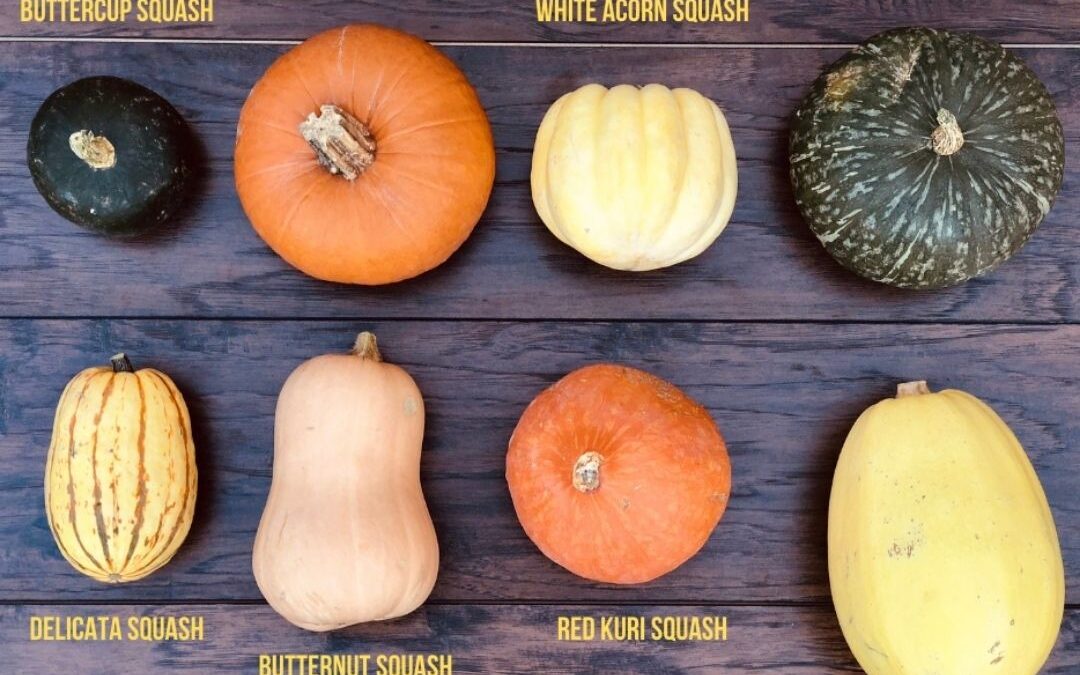 Ways to Use Squash