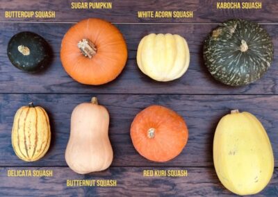 Ways to Use Squash