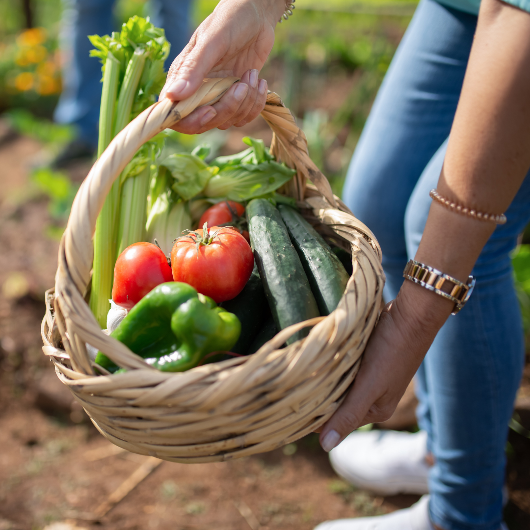 A close-up shot of someone's hands holding a basket of vegetables.